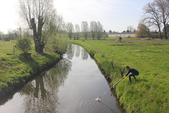 Gaverbeek eindmeetpunt