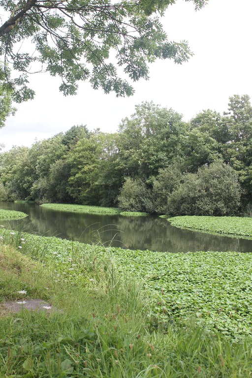 Oude Leiearm in Menen + waternavel