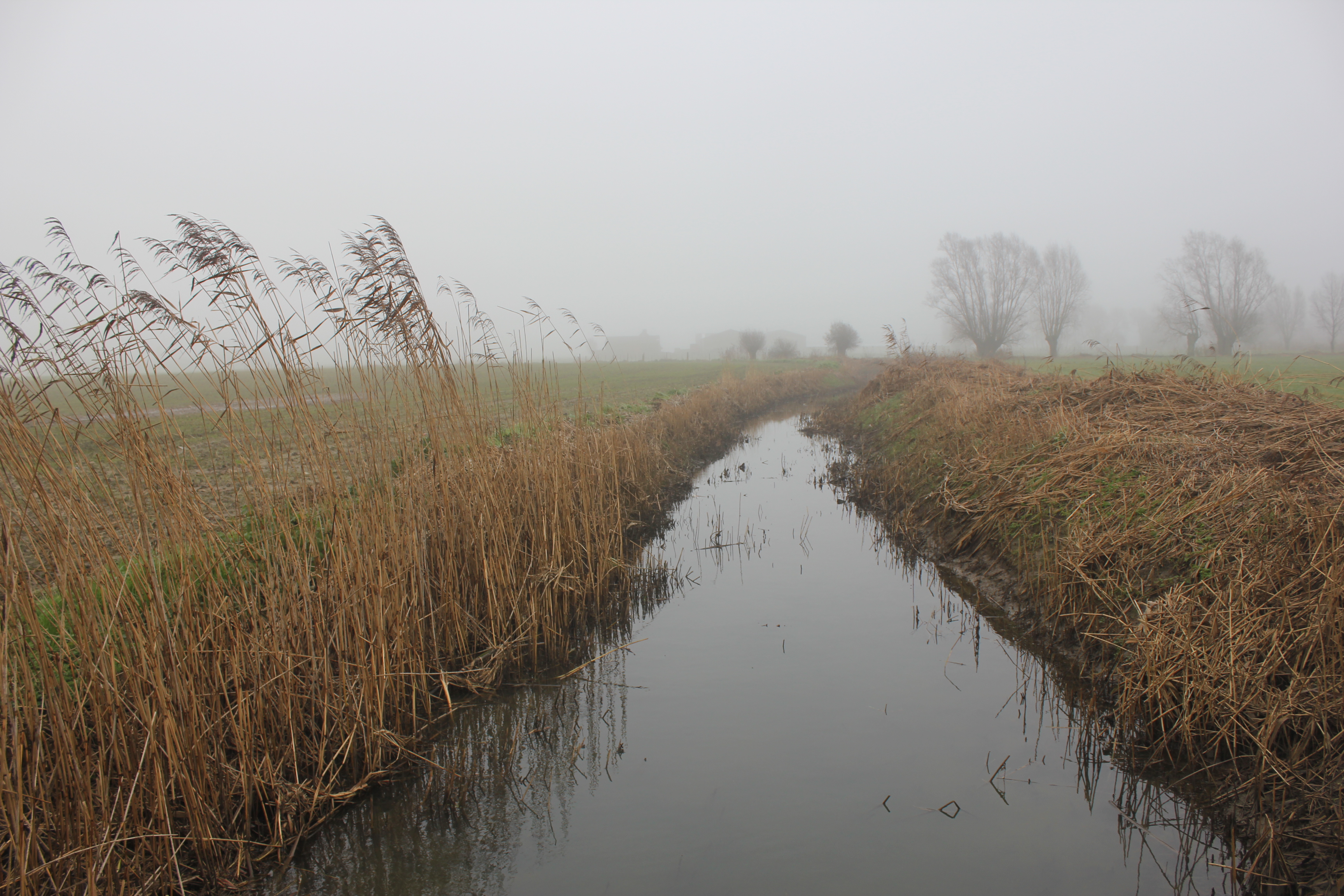 Heulebeek(Rollegem)