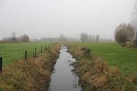 Kleinderbeek