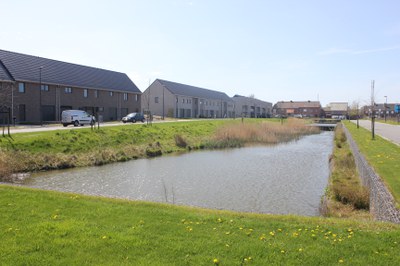huishoudens buffer (Zwevegem)
