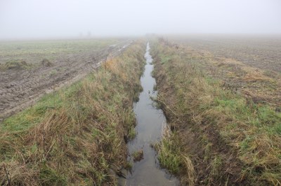 Leiebekken landbouw