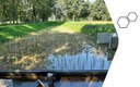 2020 - Warmbeek rietveld overstortzuivering 2020 - Warmbeek rietveld overstortzuivering