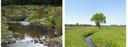 2020 - Warmbeek - Tongelreep 2020 - Warmbeek - Tongelreep