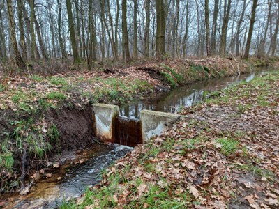 Stuwtje in de Wezensloot in Bree