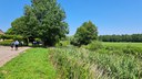 Juni 2025 - Rivierwandeling Mark, sfeerbeeld 2
