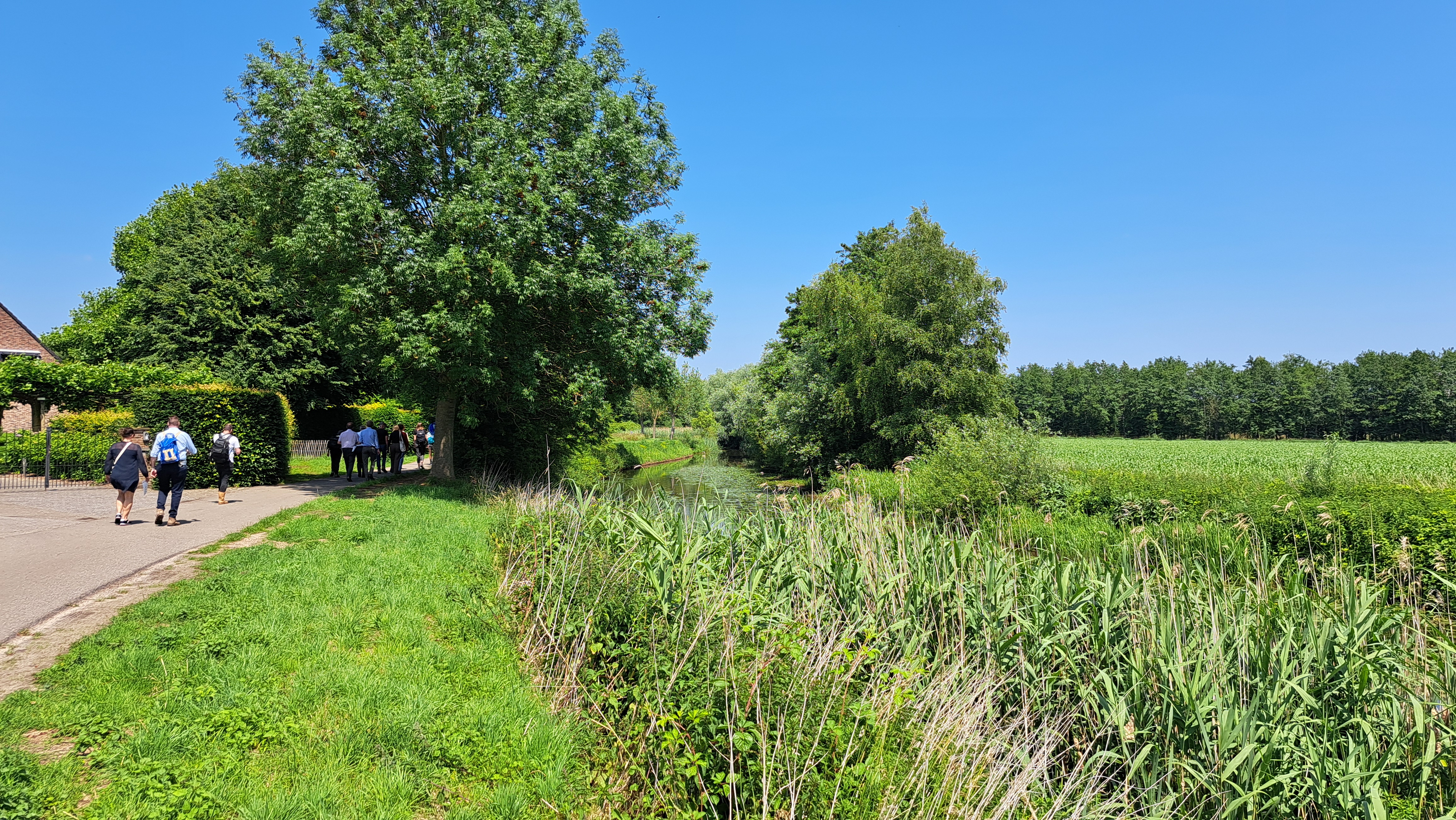 Juni 2025 - Rivierwandeling Mark, sfeerbeeld 2