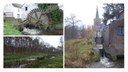 Bosbeek - Witbeek (collage)