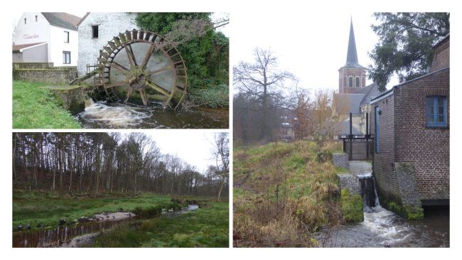 Bosbeek - Witbeek (collage)