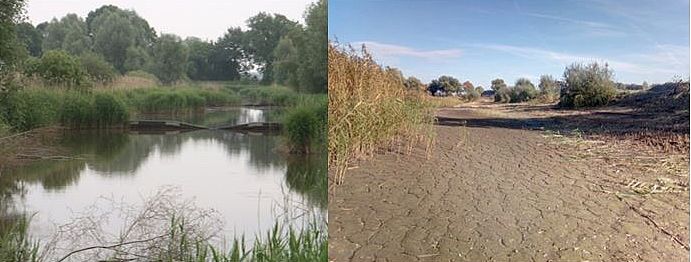 Drooggevallen wachtbekken