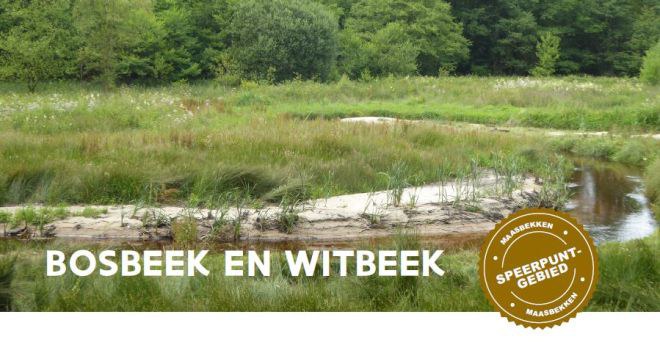 IWP Bosbeek - Witbeek