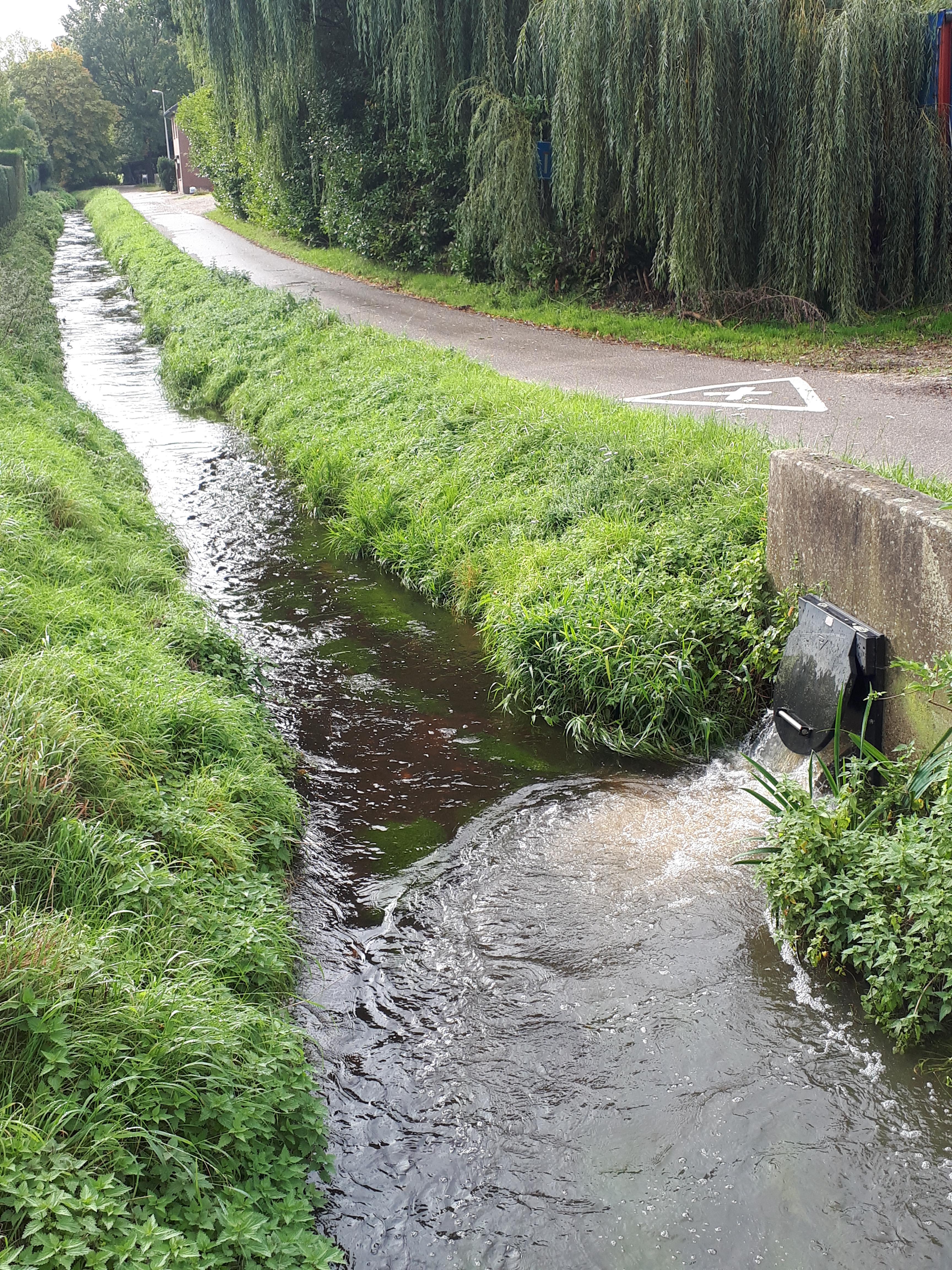 Witbeek overstort Broekziepenstraat