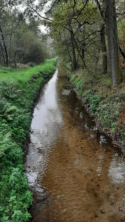 Witbeek brugje Jagersborg