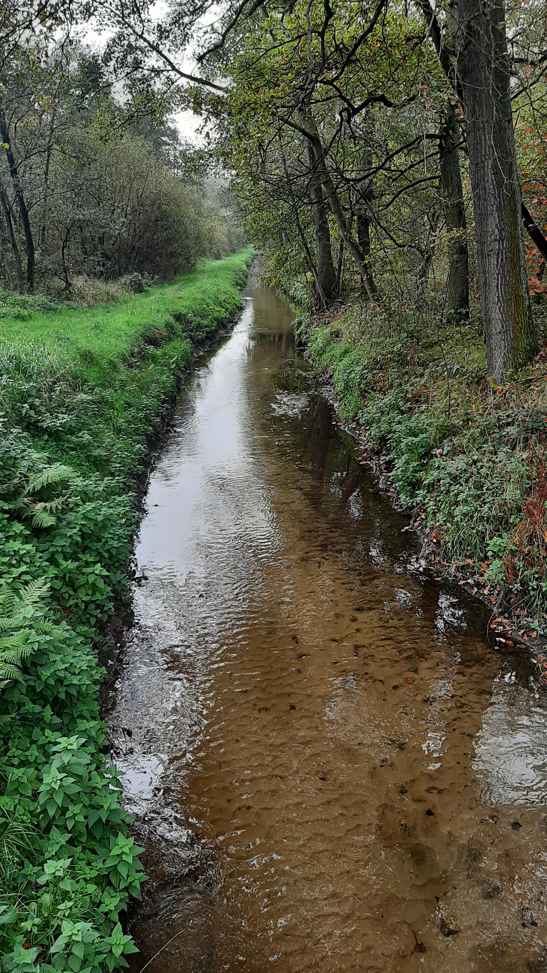 Witbeek brugje Jagersborg
