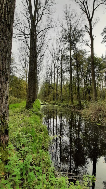 Rechte Schaagterziep in Jagersborg