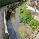 Bosbeek-Witbeek - droge beekbedding