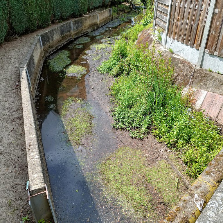 Bosbeek-Witbeek - droge beekbedding