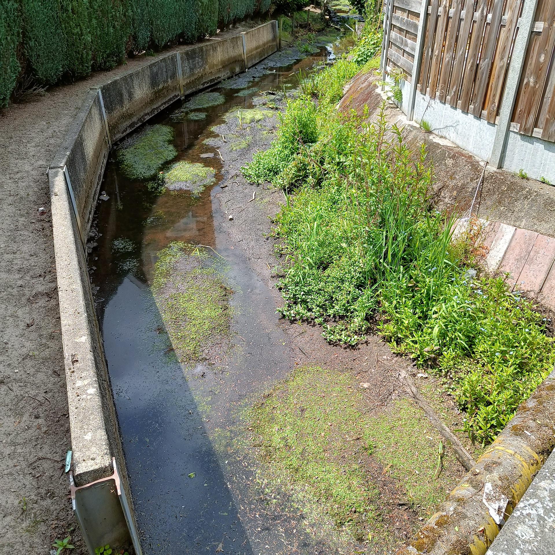 Bosbeek-Witbeek - droge beekbedding