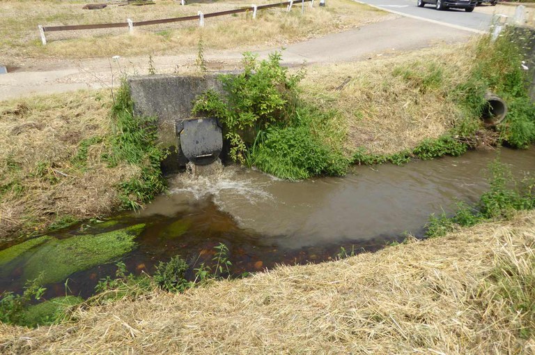 Witbeek - overstort Ziepstraat
