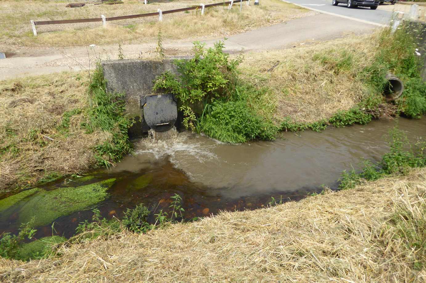 Witbeek - overstort Ziepstraat