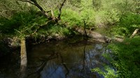 Spontane processen door nulbeheer