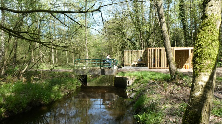 Bosbeek-Witbeek - Jaenendijk