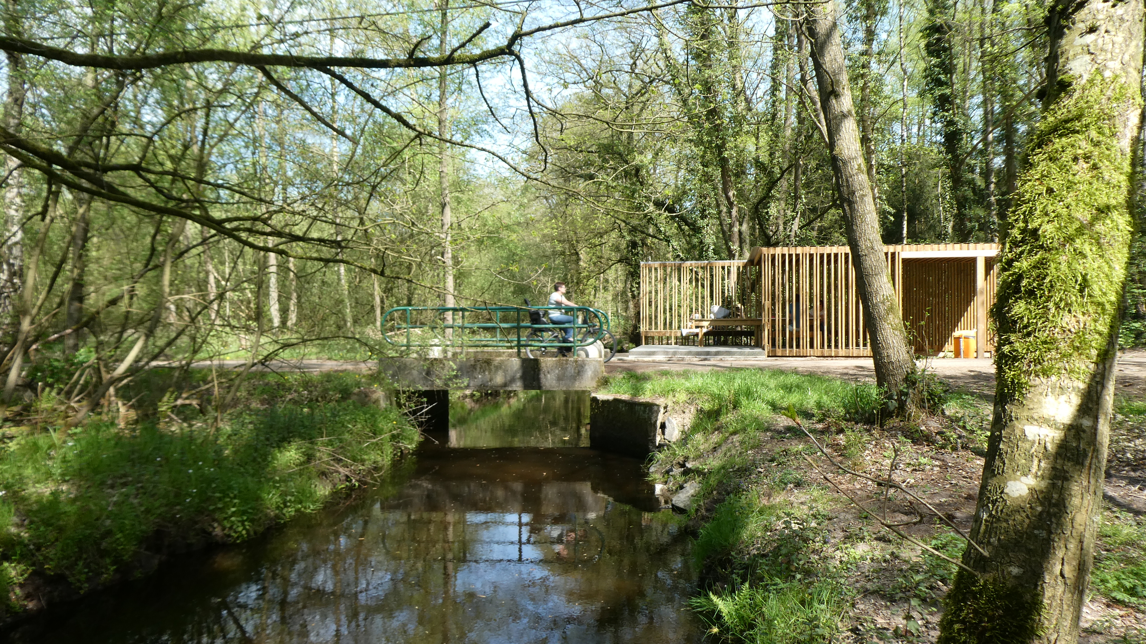 Bosbeek-Witbeek - Jaenendijk