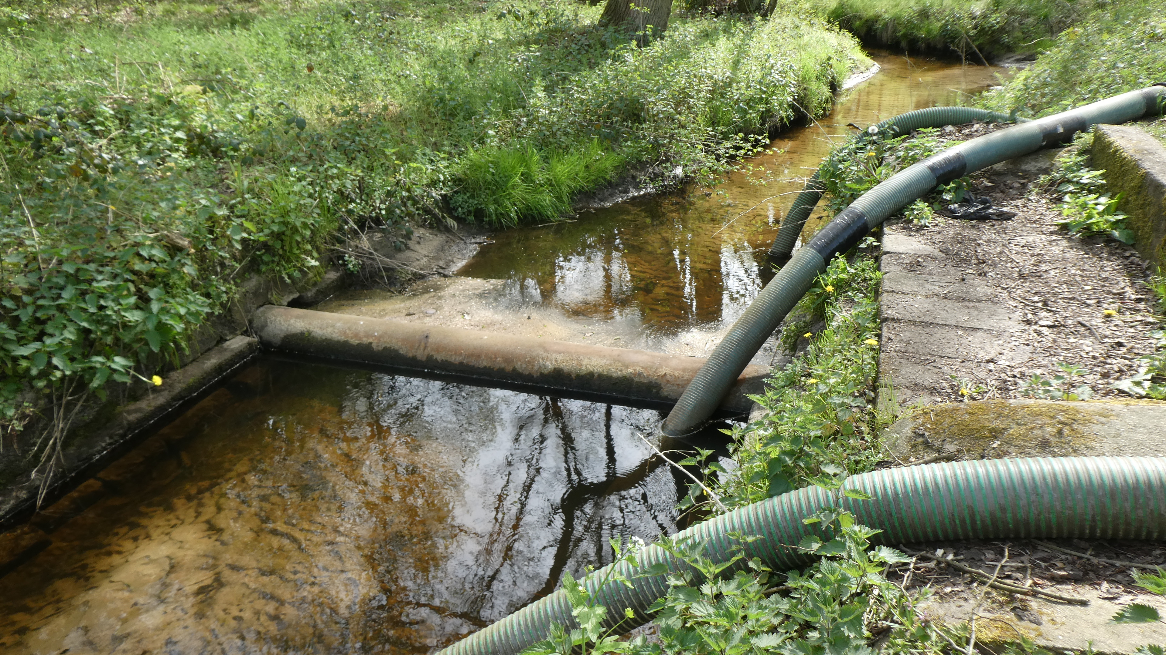 Bosbeek - ontrekking water