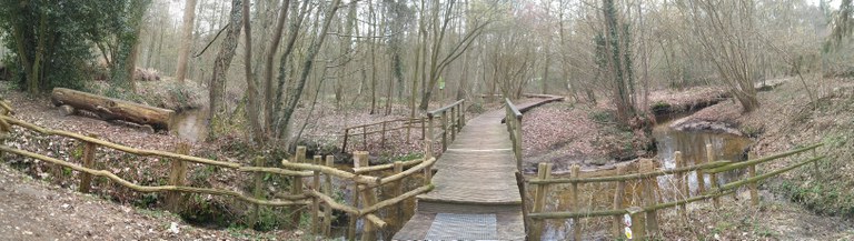 Bosbeek-Witbeek waterbeleving1