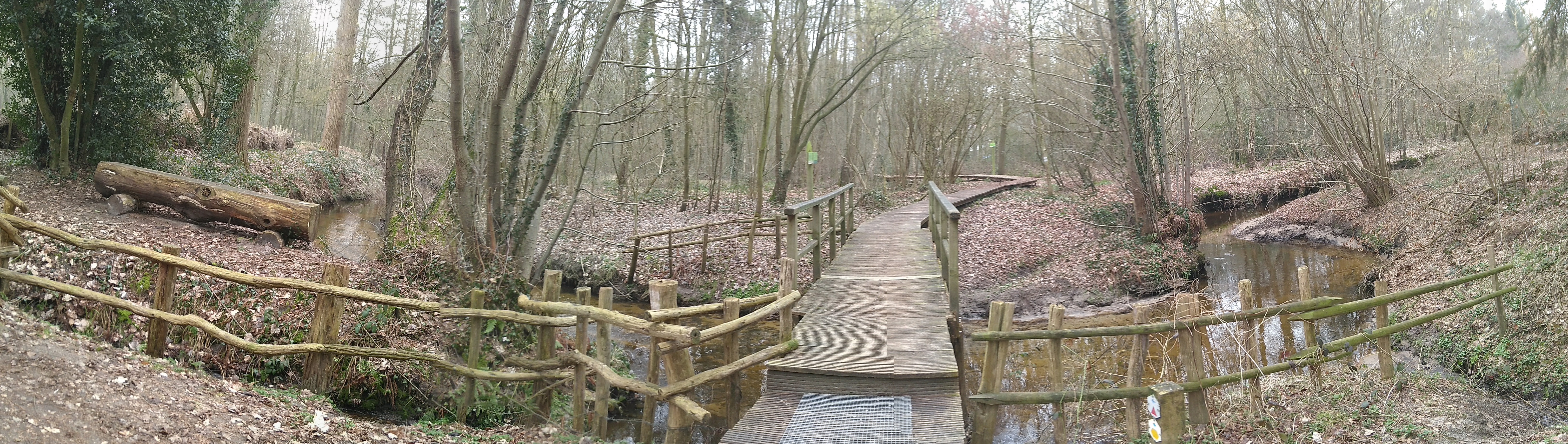 Bosbeek-Witbeek waterbeleving1