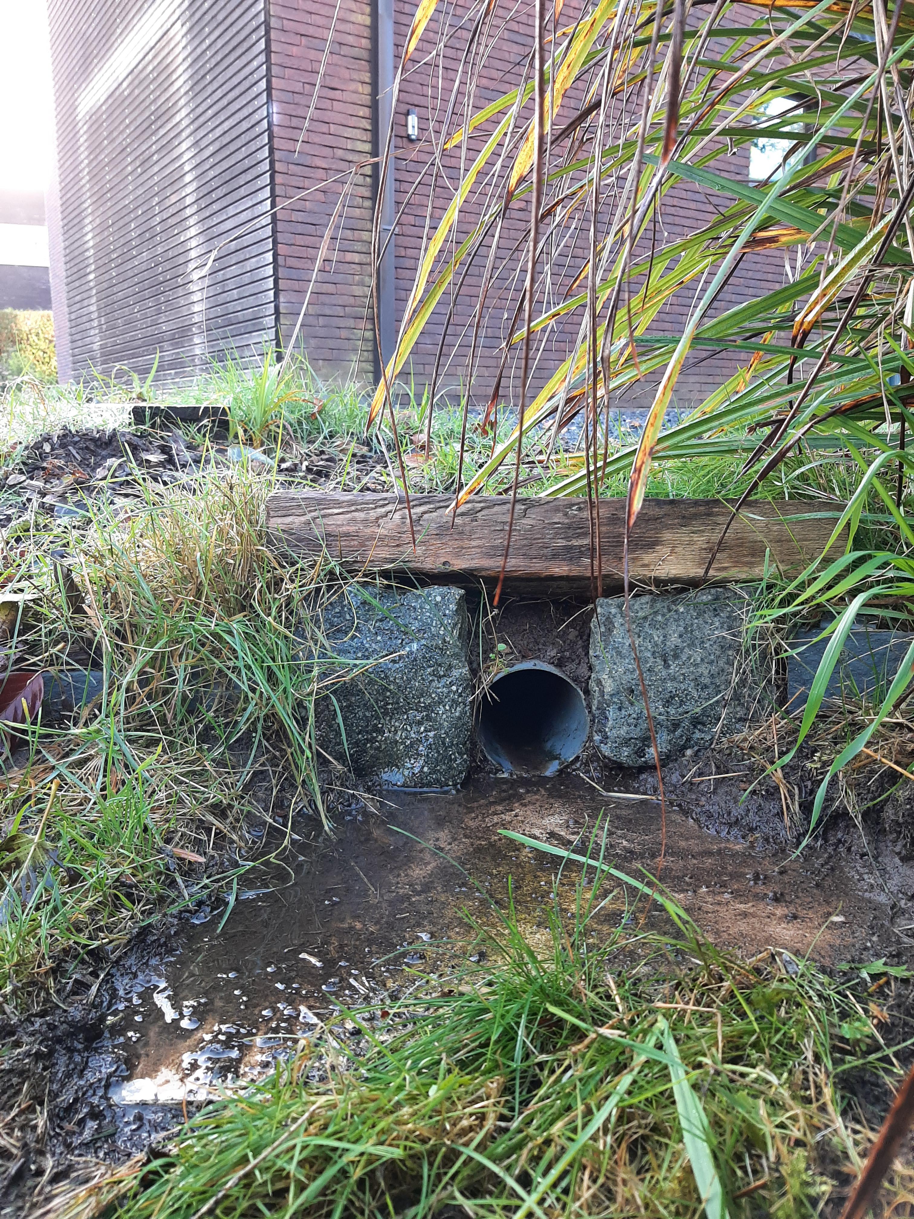 Bosbeek-Witbeek - afkoppeling hemelwater dak