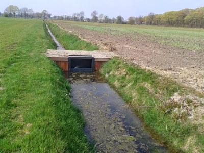 Bosbeek-Witbeek - regelbare stuw