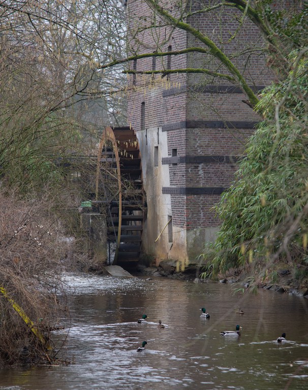 Dommel (Bemvaartse molen)