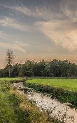 Dommel (algemeen)