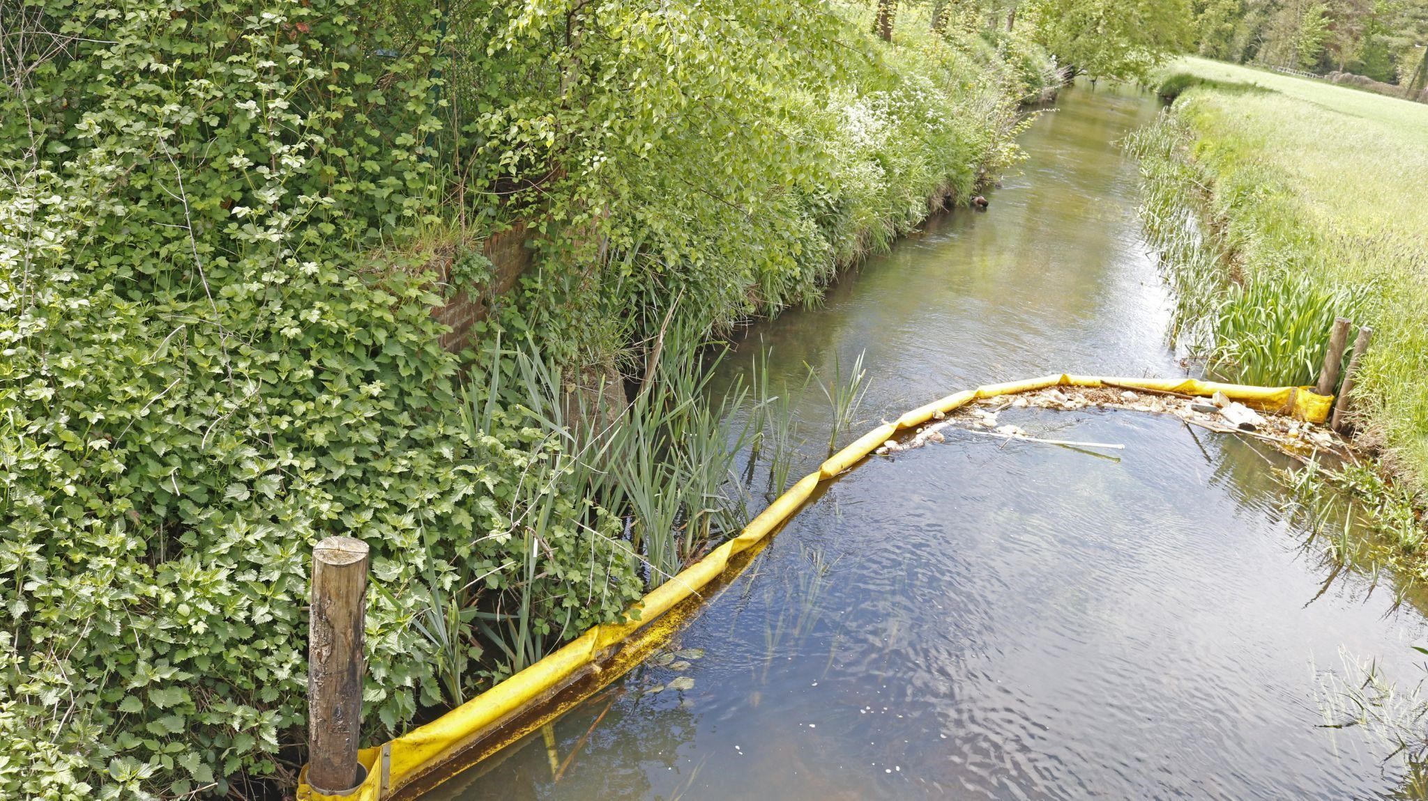 Dommel - waterkwaliteit (zwerfvuilvanger)