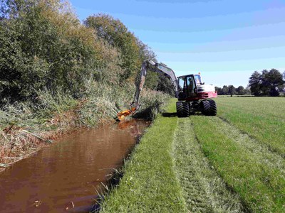 Dommel (watertekort aangepast maaibeheer)