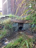 Dommel (watertekort afkoppeling hemelwater dak)
