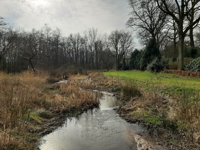 Warmbeek stroomopwaarts 't Mulke