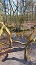 Warmbeek - speelelement over de Warmbeek thv domein de Bever