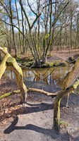 Warmbeek - speelelement over de Warmbeek thv domein de Bever