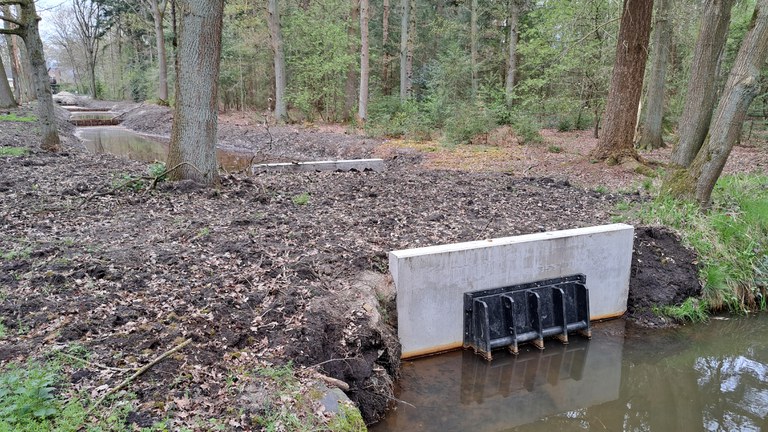 Warmbeek - nieuw aangelegd zuiveringsmoeras na overstort in de Slipstraat (Achel,2023)