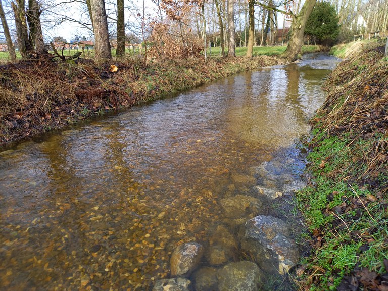 Warmbeek - grindbank