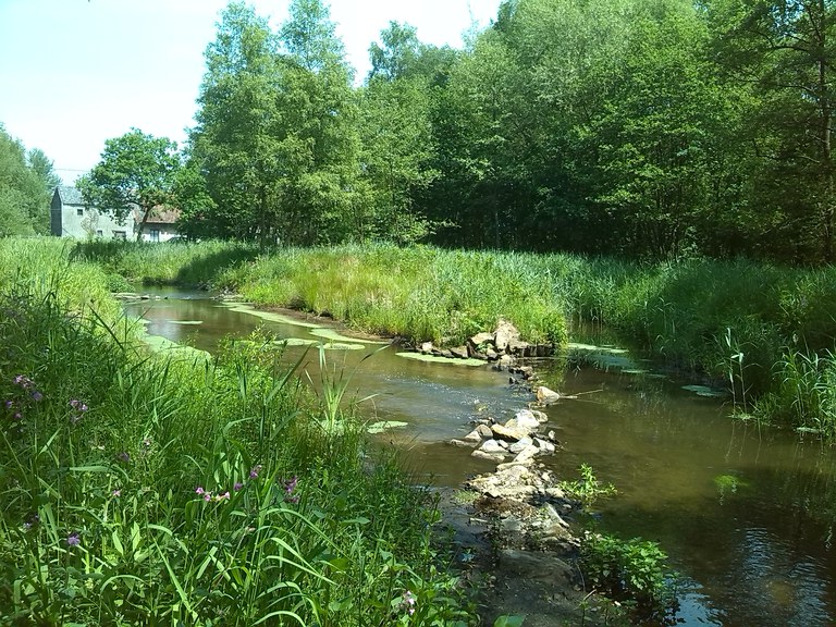 Warmbeek - vistrap thv 't Mulke (Achel)