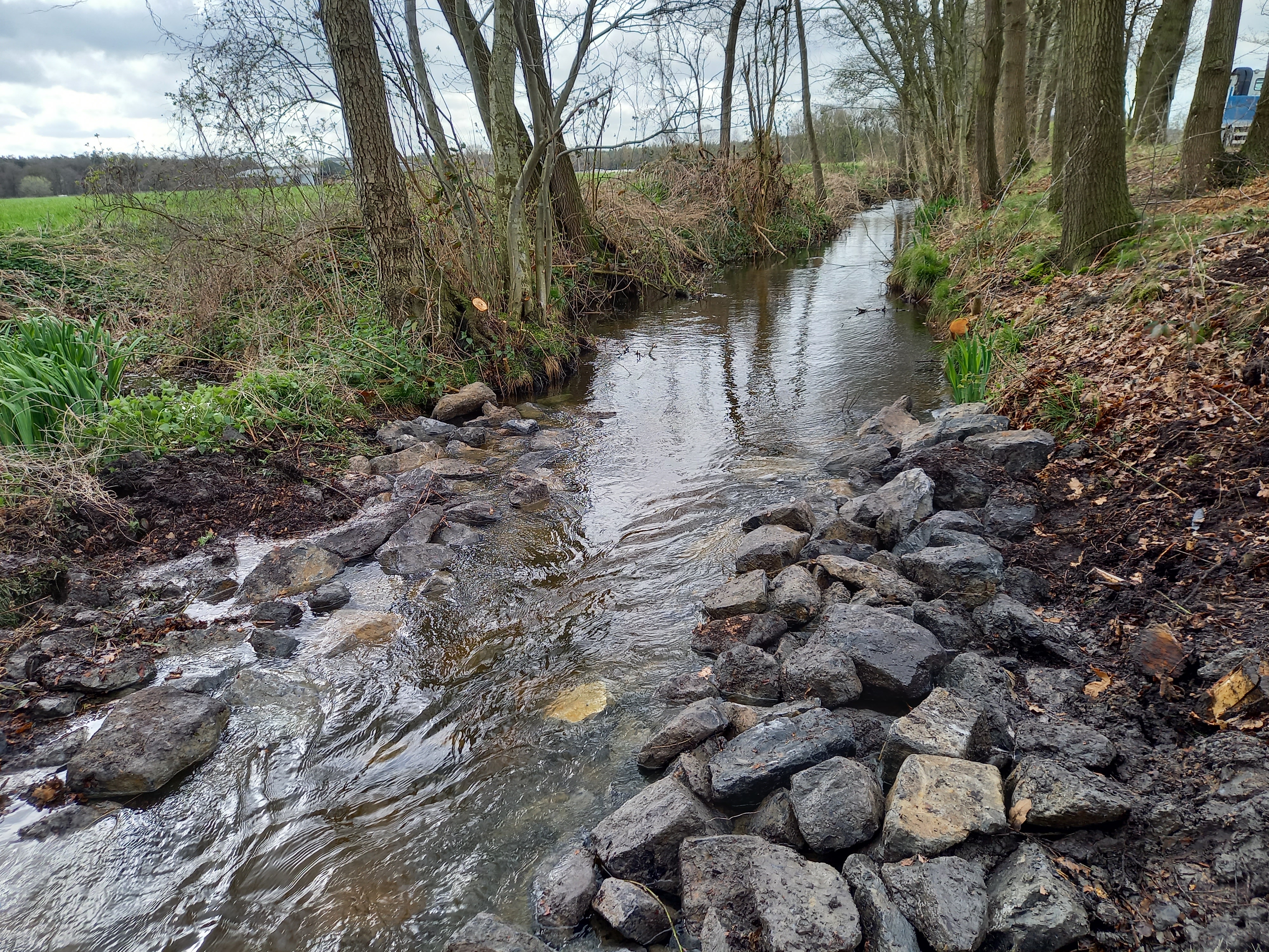 Prinsenloop - drempel voor opstuwing rekening houdend met vismigratie