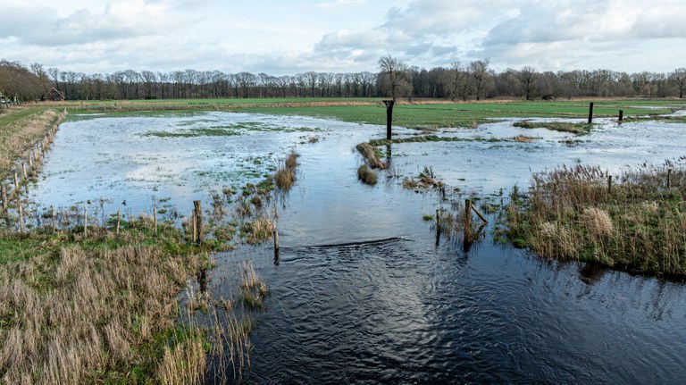 Warmbeek - natuurlijke overstromingszone thv hermeanderingsproject (Achelse Kluis)