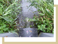 beheer oppervlaktewaterkwaliteit knop oppervlaktewaterkwaliteit