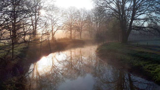 Nieuwsbrief, februari 2021