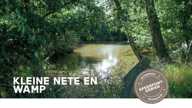 IWP Kleine Nete I en Wamp