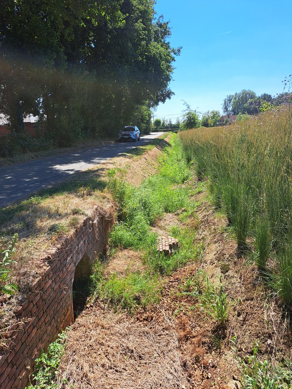 Kleine Nete & Wamp - Breyloop