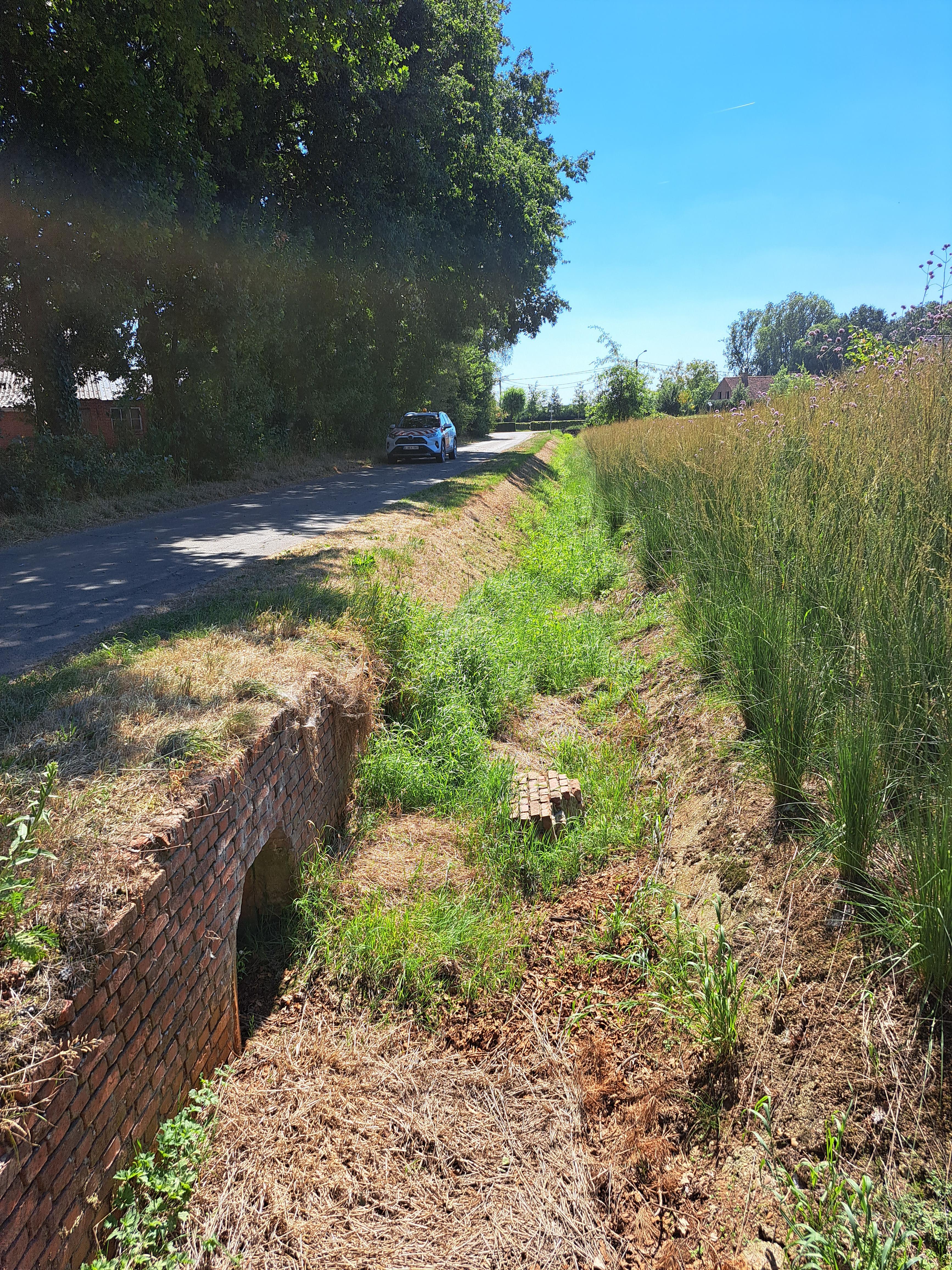 Kleine Nete & Wamp - Breyloop